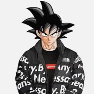 Meet your Posher, Bruce